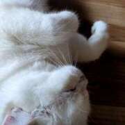 ヒメ日記 2025/10/24 17:37 投稿 小川 ミセスの手ほどき