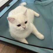 ヒメ日記 2025/11/01 10:32 投稿 小川 ミセスの手ほどき