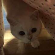 ヒメ日記 2025/11/02 17:13 投稿 小川 ミセスの手ほどき