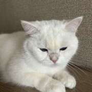 ヒメ日記 2025/11/07 18:47 投稿 小川 ミセスの手ほどき