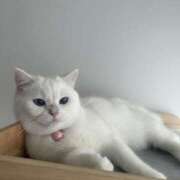 ヒメ日記 2025/11/12 16:03 投稿 小川 ミセスの手ほどき