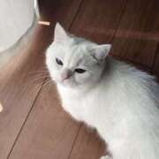 ヒメ日記 2025/11/21 21:15 投稿 小川 ミセスの手ほどき