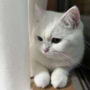 小川 おはようございます♪ ミセスの手ほどき