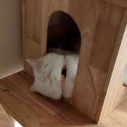 小川 こんばんは♪ ミセスの手ほどき