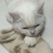 ヒメ日記 2025/12/06 18:06 投稿 小川 ミセスの手ほどき