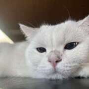 ヒメ日記 2025/12/08 19:24 投稿 小川 ミセスの手ほどき