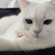 ヒメ日記 2025/12/10 18:46 投稿 小川 ミセスの手ほどき