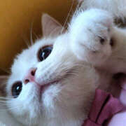 ヒメ日記 2025/12/11 19:28 投稿 小川 ミセスの手ほどき