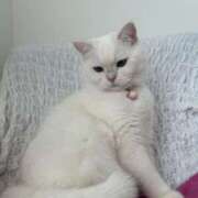 ヒメ日記 2025/12/13 19:11 投稿 小川 ミセスの手ほどき