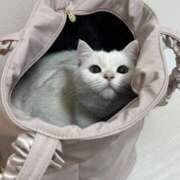 小川 こんばんは♪ ミセスの手ほどき