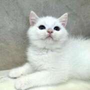 小川 こんばんは♪ ミセスの手ほどき