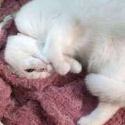 ヒメ日記 2026/01/23 19:41 投稿 小川 ミセスの手ほどき