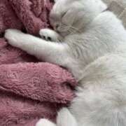 ヒメ日記 2026/01/30 00:33 投稿 小川 ミセスの手ほどき