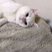 ヒメ日記 2026/01/31 00:02 投稿 小川 ミセスの手ほどき