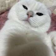 ヒメ日記 2026/02/02 00:21 投稿 小川 ミセスの手ほどき