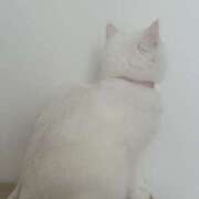 ヒメ日記 2026/02/05 00:18 投稿 小川 ミセスの手ほどき