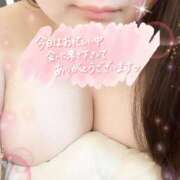 ヒメ日記 2025/09/26 16:28 投稿 ゆず 白いぽっちゃりさん