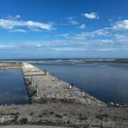 ヒメ日記 2025/10/04 13:57 投稿 ゆず 白いぽっちゃりさん