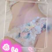 ヒメ日記 2025/10/18 01:53 投稿 花畑 あい 夜這い調教クラブ本店