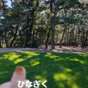 ヒメ日記 2025/11/22 13:30 投稿 ひなぎく 奥鉄オクテツ大阪