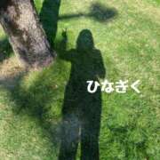 ヒメ日記 2025/11/23 15:10 投稿 ひなぎく 奥鉄オクテツ大阪