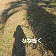 ヒメ日記 2025/11/30 21:45 投稿 ひなぎく 奥鉄オクテツ大阪