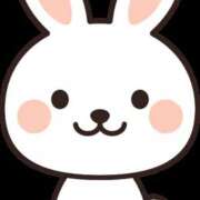 ヒメ日記 2026/03/11 20:16 投稿 める プールサイド