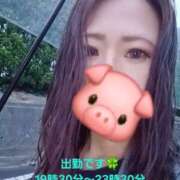 ヒメ日記 2026/06/02 19:08 投稿 心里(みさと) 恋する人妻