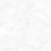 ヒメ日記 2025/11/14 09:06 投稿 うの E+アイドルスクール