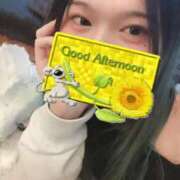 ヒメ日記 2025/11/24 13:56 投稿 七瀬　れいな アヌエ＠日暮里