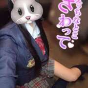 ヒメ日記 2025/10/18 11:45 投稿 きらり キラリと輝く存在感！ ウエスト・コム