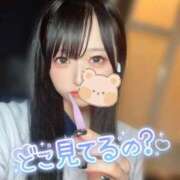 ヒメ日記 2025/10/20 10:47 投稿 きらり キラリと輝く存在感！ ウエスト・コム