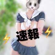 ヒメ日記 2025/10/20 16:53 投稿 きらり キラリと輝く存在感！ ウエスト・コム