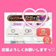 ヒメ日記 2025/10/28 15:08 投稿 きらり キラリと輝く存在感！ ウエスト・コム