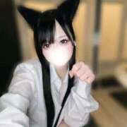 ヒメ日記 2025/11/25 13:50 投稿 きらり キラリと輝く存在感！ ウエスト・コム