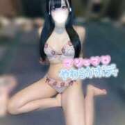 ヒメ日記 2025/11/28 12:05 投稿 きらり キラリと輝く存在感！ ウエスト・コム