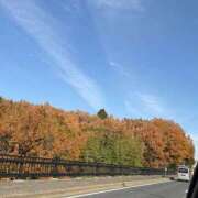 ヒメ日記 2025/12/02 11:55 投稿 きらり キラリと輝く存在感！ ウエスト・コム