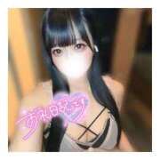 ヒメ日記 2025/12/13 12:21 投稿 きらり キラリと輝く存在感！ ウエスト・コム