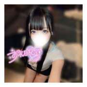 ヒメ日記 2025/12/14 12:35 投稿 きらり キラリと輝く存在感！ ウエスト・コム