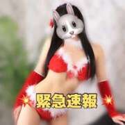 ヒメ日記 2025/12/19 10:45 投稿 きらり キラリと輝く存在感！ ウエスト・コム