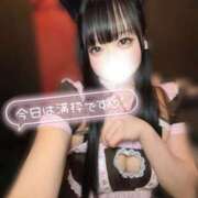 ヒメ日記 2026/01/31 21:35 投稿 きらり キラリと輝く存在感！ ウエスト・コム