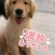 ヒメ日記 2026/03/19 23:15 投稿 きらり キラリと輝く存在感！ ウエスト・コム