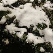 ヒメ日記 2026/02/09 00:38 投稿 史奈【フミナ】 輝女