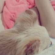 ヒメ日記 2025/09/19 10:02 投稿 白浜　まりあ ベルサイユの薔薇