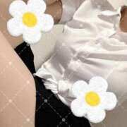 ヒメ日記 2025/09/30 16:07 投稿 樋口　せな ナディア名古屋店