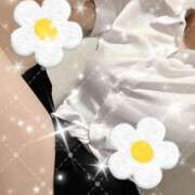 ヒメ日記 2025/10/10 14:17 投稿 樋口　せな ナディア名古屋店