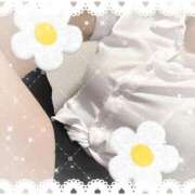 ヒメ日記 2025/10/12 13:57 投稿 樋口　せな ナディア名古屋店