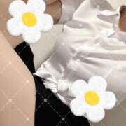 ヒメ日記 2026/03/08 16:27 投稿 樋口　せな ナディア名古屋店