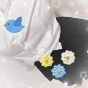 ヒメ日記 2026/03/31 16:47 投稿 樋口　せな ナディア名古屋店