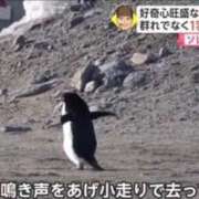 ヒメ日記 2026/03/03 11:32 投稿 ★坂田めり★ CLUB39（クラブサンキュー）